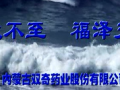 內(nèi)蒙古雙奇藥業(yè) (441播放)